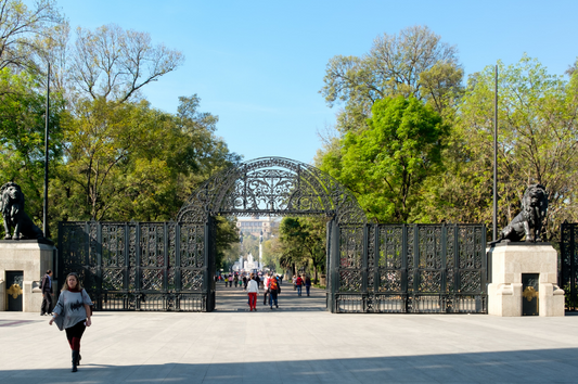 El Bosque de Chapultepec tendrá una nueva Cineteca - Redlemon