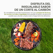 Asador de Carbón Portátil de 36 cm con Tapa HIKEO — detalle del producto