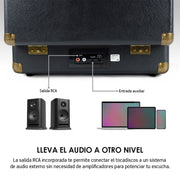 Conexiones traseras del tocadiscos Akane con salida RCA y entrada auxiliar