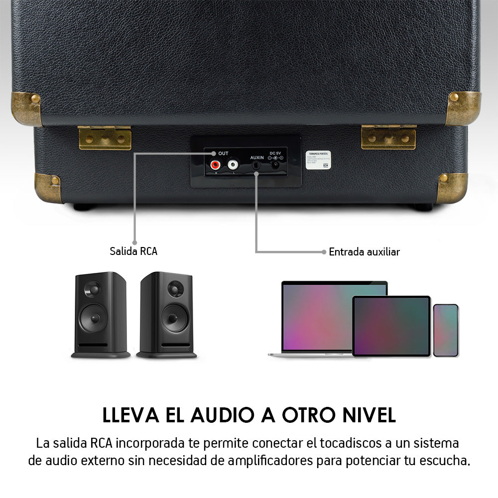 Conexiones traseras del tocadiscos Akane con salida RCA y entrada auxiliar
