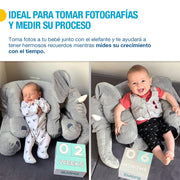 Almohada de Soporte para Bebé Elefante Peluche Gigante