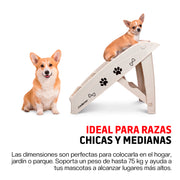 Escalera Plegable para Perro con Escalones Antideslizantes
