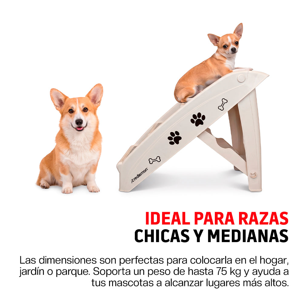 Escalera Plegable para Perro con Escalones Antideslizantes