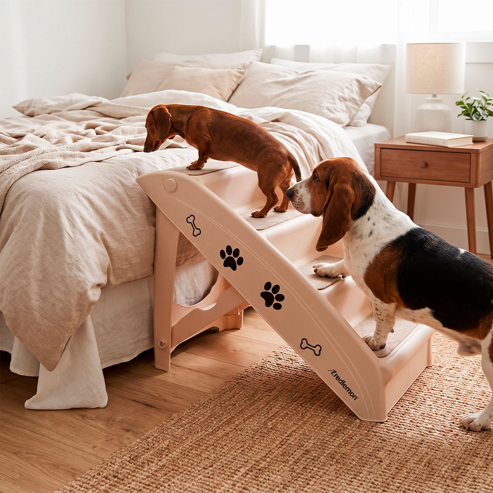 Escalera Plegable para Perro con Escalones Antideslizantes
