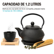 Tetera Japonesa de Hierro Fundido con Tazas, Infusor y Salvamanteles - Redlemon