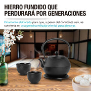 Tetera Japonesa de Hierro Fundido con Tazas, Infusor y Salvamanteles - Redlemon