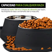 Plato para Perro Con 2 Tazones y Tapete de Silicón - Redlemon